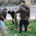 Climate Action