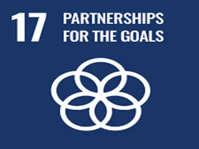 Research on SDG 17...