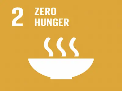 Research on SDG 2...