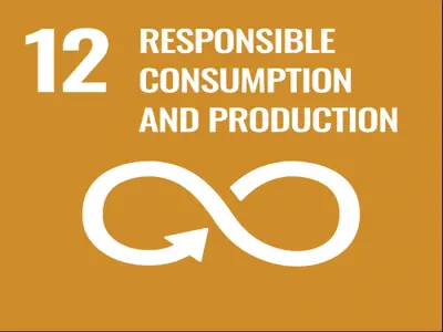 Research on SDG 12...