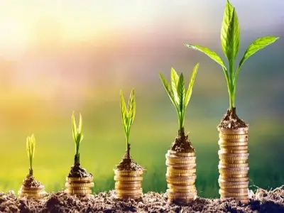 Sustainable Investment Policy...