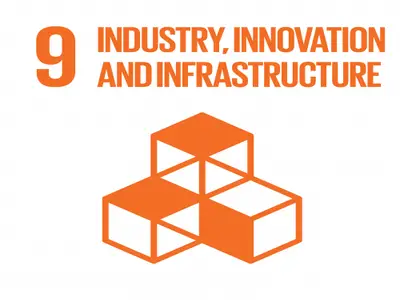 Report on SDG 9: Industry, Inn...