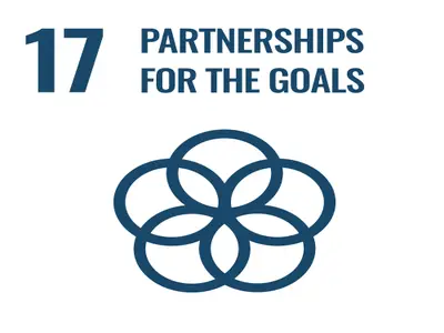 Report on SDG 17: Partnership ...
