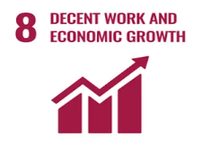 Report on SDG 8: Decent Work a...