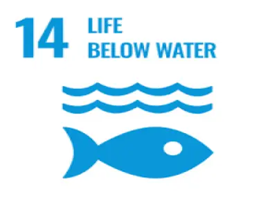 Report on SDG 14: Life Below W...