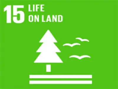 Research on SDG 15...