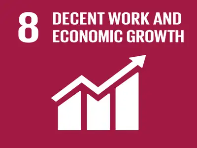 Research on SDG 8...