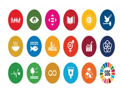 Academic Contribution to SDGs:...