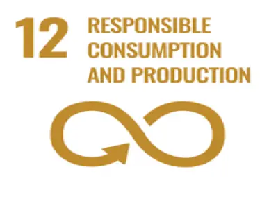 Report on SDG 12: Responsible ...