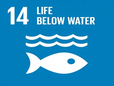 Research on SDG 14...