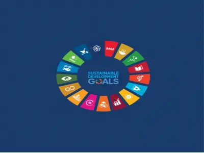 SDG Committee...