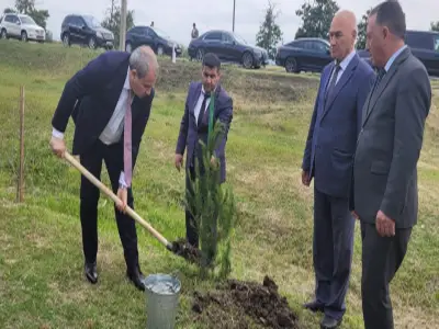 Tree planting action to commem...