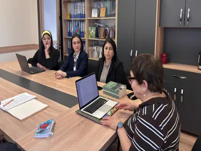 Research at BSU on integrating...
