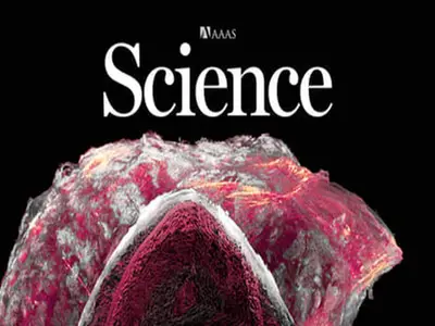 Article Co-Authored by a Facul...