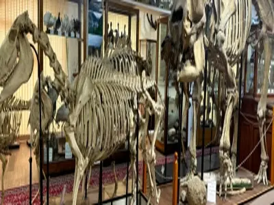 Interactive lesson at the Natu...