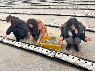 The 4th-year students of the F...