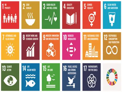 Sustainability Literacy Assess...