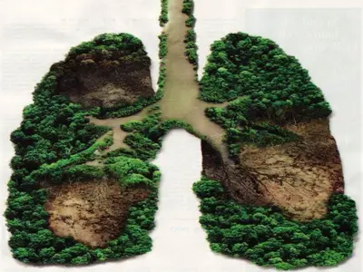 “Lets Protect Our Planet –...