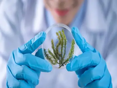 Scientific seminar dedicated t...