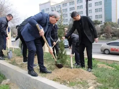 Tree-planting action in front ...