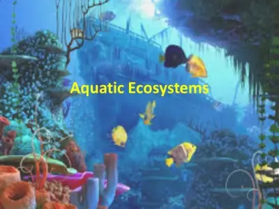 Baku State University Aquatic ...